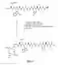 Fig. 16 - Gastrin releasing peptide compounds