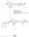 Fig. 21 - Gastrin releasing peptide compounds