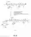 Fig. 26 - Gastrin releasing peptide compounds