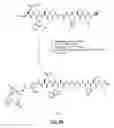 Fig. 30 - Gastrin releasing peptide compounds