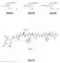 Fig. 31 - Gastrin releasing peptide compounds