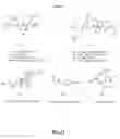 Fig. 41 - Gastrin releasing peptide compounds