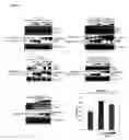 Fig. 05 - METHODS AND COMPOSITIONS FOR AFFECTING SUBSTRATE DOCKING OF KINASES IN MODULATING CELLULAR ACTIVITIES