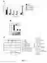 Fig. 02 - IDENTIFICATION OF NOVEL FACTORS THAT BLOCK PROGRAMMED CELL DEATH OR APOPTOSIS BY TARGETING JNK