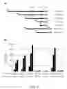 Fig. 12 - IDENTIFICATION OF NOVEL FACTORS THAT BLOCK PROGRAMMED CELL DEATH OR APOPTOSIS BY TARGETING JNK