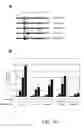 Fig. 13 - IDENTIFICATION OF NOVEL FACTORS THAT BLOCK PROGRAMMED CELL DEATH OR APOPTOSIS BY TARGETING JNK
