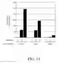 Fig. 14 - IDENTIFICATION OF NOVEL FACTORS THAT BLOCK PROGRAMMED CELL DEATH OR APOPTOSIS BY TARGETING JNK