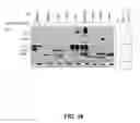 Fig. 23 - IDENTIFICATION OF NOVEL FACTORS THAT BLOCK PROGRAMMED CELL DEATH OR APOPTOSIS BY TARGETING JNK