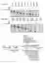 Fig. 27 - IDENTIFICATION OF NOVEL FACTORS THAT BLOCK PROGRAMMED CELL DEATH OR APOPTOSIS BY TARGETING JNK