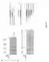 Fig. 28 - IDENTIFICATION OF NOVEL FACTORS THAT BLOCK PROGRAMMED CELL DEATH OR APOPTOSIS BY TARGETING JNK
