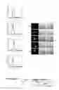Fig. 40 - IDENTIFICATION OF NOVEL FACTORS THAT BLOCK PROGRAMMED CELL DEATH OR APOPTOSIS BY TARGETING JNK