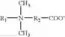Fig. 02 - Foaming Tropical Compositions