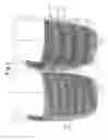 Fig. 02 - Opaque multi-phase dentifrice with alternating bands