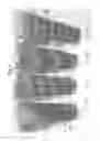 Fig. 03 - Opaque multi-phase dentifrice with alternating bands