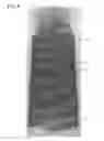 Fig. 09 - Opaque multi-phase dentifrice with alternating bands