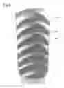 Fig. 07 - Transparent multi-phase dentifrice with coils
