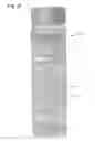 Fig. 16 - Transparent multi-phase dentifrice with coils
