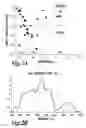 Fig. 03 - Methods and systems for treating cell proliferation disorders