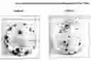 Fig. 01 - Skin equivalents derived from umbilical cord mesenchymal stem/progenitor cells and umbilical cord epithelial stem/progenitor cells