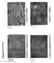 Fig. 07 - Skin equivalents derived from umbilical cord mesenchymal stem/progenitor cells and umbilical cord epithelial stem/progenitor cells