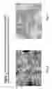 Fig. 09 - Skin equivalents derived from umbilical cord mesenchymal stem/progenitor cells and umbilical cord epithelial stem/progenitor cells