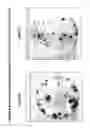 Fig. 11 - Skin equivalents derived from umbilical cord mesenchymal stem/progenitor cells and umbilical cord epithelial stem/progenitor cells