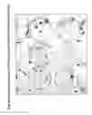 Fig. 13 - Skin equivalents derived from umbilical cord mesenchymal stem/progenitor cells and umbilical cord epithelial stem/progenitor cells