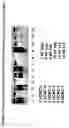Fig. 32 - Skin equivalents derived from umbilical cord mesenchymal stem/progenitor cells and umbilical cord epithelial stem/progenitor cells
