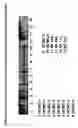 Fig. 36 - Skin equivalents derived from umbilical cord mesenchymal stem/progenitor cells and umbilical cord epithelial stem/progenitor cells