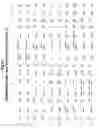 Fig. 58 - Skin equivalents derived from umbilical cord mesenchymal stem/progenitor cells and umbilical cord epithelial stem/progenitor cells