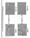 Fig. 74 - Skin equivalents derived from umbilical cord mesenchymal stem/progenitor cells and umbilical cord epithelial stem/progenitor cells