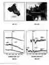 Fig. 04 - Process For Ex Vivo Formation of Mammalian Bone And Uses Thereof