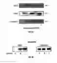 Fig. 06 - Process For Ex Vivo Formation of Mammalian Bone And Uses Thereof