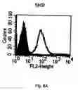 Fig. 09 - B7-H5, a costimulatory polypeptide
