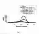 Fig. 18 - Heparanases and splice variants thereof, polynucleotides encoding them and uses thereof