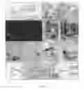 Fig. 07 - Antibodies that bind specifically to phosphorylated β-catenin