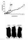 Fig. 01 - Method of Treating Angiogenic Diseases