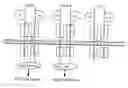 Fig. 01 - Antibodies to JTT-1 protein and cells secreting such antibodies