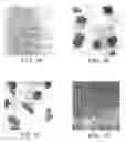 Fig. 02 - Antibodies to JTT-1 protein and cells secreting such antibodies