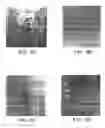Fig. 07 - Antibodies to JTT-1 protein and cells secreting such antibodies