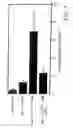 Fig. 08 - Antibodies to JTT-1 protein and cells secreting such antibodies
