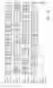 Fig. 11 - Antibodies to JTT-1 protein and cells secreting such antibodies