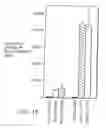 Fig. 16 - Antibodies to JTT-1 protein and cells secreting such antibodies