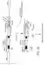 Fig. 22 - Antibodies to JTT-1 protein and cells secreting such antibodies