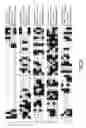 Fig. 04 - Death domain containing receptor 5