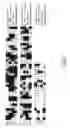 Fig. 06 - Death domain containing receptor 5