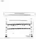 Fig. 10 - Platform Antibody Compositions