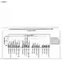 Fig. 15 - Platform Antibody Compositions