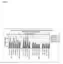 Fig. 16 - Platform Antibody Compositions