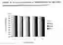 Fig. 13 - Interleukin-13 Antibody Composition